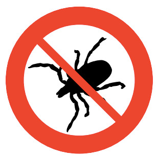 Bed Bug Control