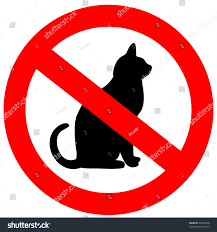 Feral Cat Trapping
