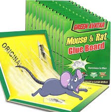 Glue Boards