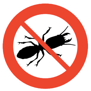 Termite Control